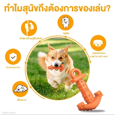 MOMOVIDA DT-12 ของเล่นสุนัข ทรงคีม ช่วยขัดฟัน/ลดคราบหินปูน