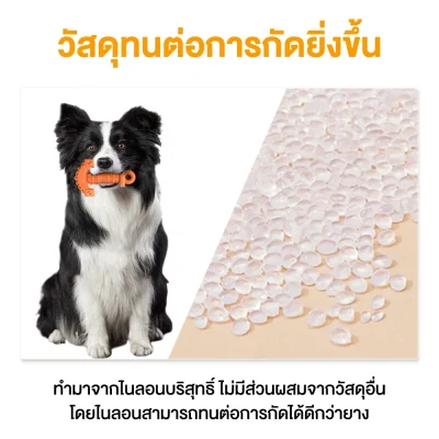 MOMOVIDA DT-12 ของเล่นสุนัข ทรงคีม ช่วยขัดฟัน/ลดคราบหินปูน