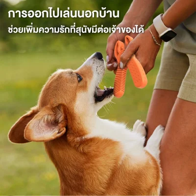 MOMOVIDA DT-13 ของเล่นสุนัขทรงค้อน เหมาะกับทุกสายพันธุ์