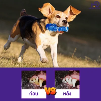 MOMOVIDA DT-9 ของเล่นแปรงฟันสุนัข วัสดุยางธรรมชาติ TPR