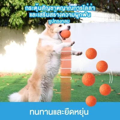 MOMOVIDA DT-15 ลูกบอลยางมีเสียง ปลอดภัย ทนทาน