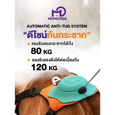 MOMOVIDA สายรัดอกสุนัข DL กันกระชาก 80KG