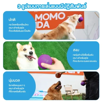 MOMOVIDA DT-15 ลูกบอลยางมีเสียง ปลอดภัย ทนทาน