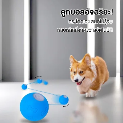 MOMOVIDA DT-1 ลูกบอลไฟฟ้าสุนัข ซิลิโคน Food Grade ทนกัด/ทนตก