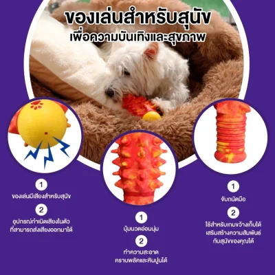 MOMOVIDA DT-9 ของเล่นแปรงฟันสุนัข วัสดุยางธรรมชาติ TPR