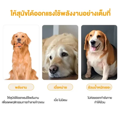 MOMOVIDA DT-12 ของเล่นสุนัข ทรงคีม ช่วยขัดฟัน/ลดคราบหินปูน