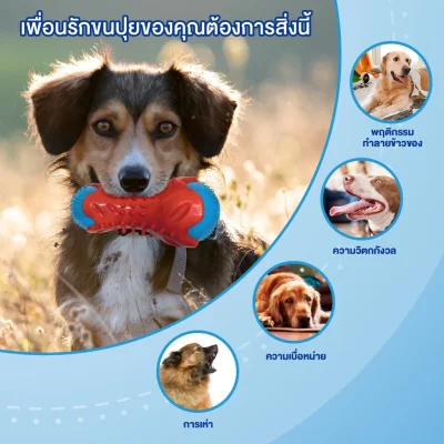 MOMOVIDA DF-1 ของเล่นสุนัข TPR มีเสียง/ให้อาหาร ขัดฟัน