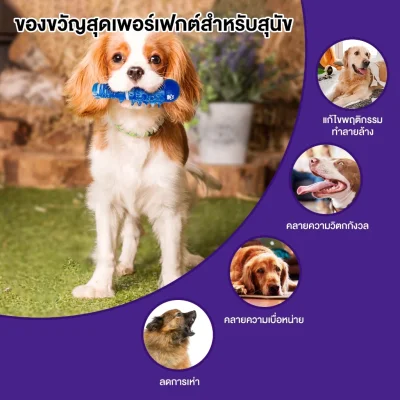 MOMOVIDA DT-9 ของเล่นแปรงฟันสุนัข วัสดุยางธรรมชาติ TPR