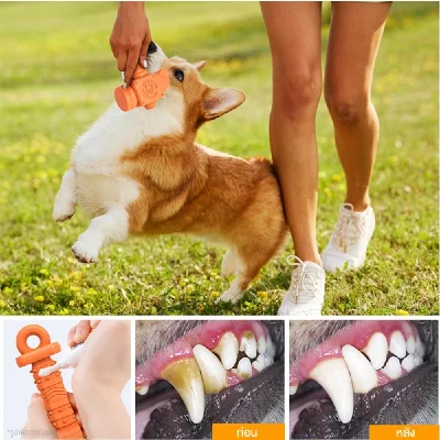 MOMOVIDA DT-12 ของเล่นสุนัข ทรงคีม ช่วยขัดฟัน/ลดคราบหินปูน