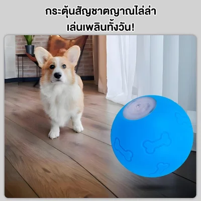 MOMOVIDA DT-1 ลูกบอลไฟฟ้าสุนัข ซิลิโคน Food Grade ทนกัด/ทนตก