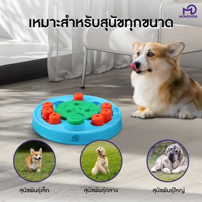 MOMOVIDA DT-2 ของเล่นฝึก IQ สุนัข พัฒนาสมอง และฝึกสมาธิ