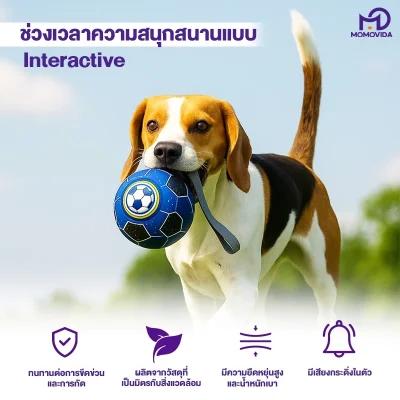 MOMOVIDA DT-22 ลูกบอลฟุตบอลสุนัข 15cm วัสดุ TPU ปลอดภัย