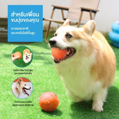 MOMOVIDA DT-15 ลูกบอลยางมีเสียง ปลอดภัย ทนทาน