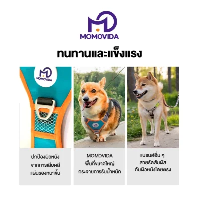 MOMOVIDA สายรัดอกสุนัข DL กันกระชาก 80KG