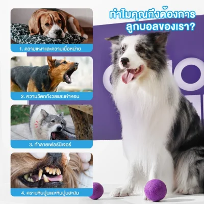 MOMOVIDA DT-15 ลูกบอลยางมีเสียง ปลอดภัย ทนทาน