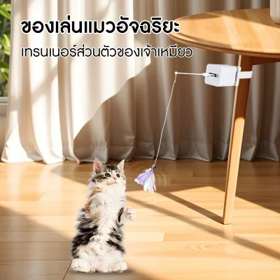 MOMOVIDA CT-2 ไม้ตกแมวอัจฉริยะ เลียนแบบเสียงหนู