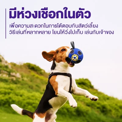 MOMOVIDA DT-22 ลูกบอลฟุตบอลสุนัข 15cm วัสดุ TPU ปลอดภัย