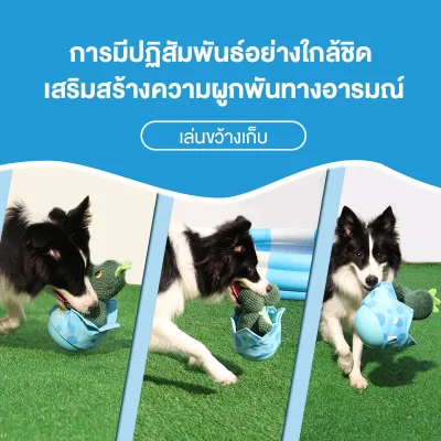 MOMOVIDA DT-5 ตุ๊กตาล้มลุกไทรเซอราทอปส์ มีเสียงซ่อนอาหารได้