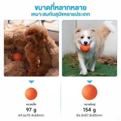 MOMOVIDA DT-15 ลูกบอลยางมีเสียง ปลอดภัย ทนทาน