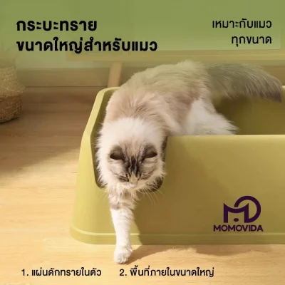 MOMOVIDA CC-1 กระบะทรายแมวใหญ่ ขอบสูง 25 ซม. กันกระเด็น