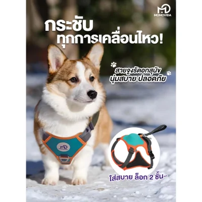MOMOVIDA สายรัดอกสุนัข DL กันกระชาก 80KG