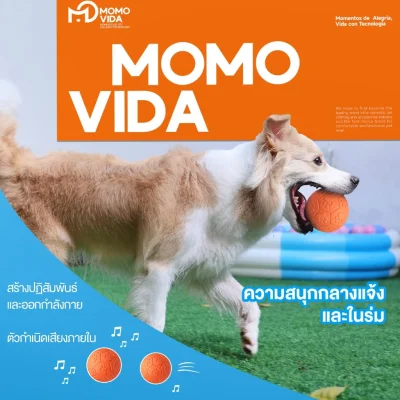 MOMOVIDA DT-15 ลูกบอลยางมีเสียง ปลอดภัย ทนทาน