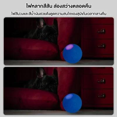 MOMOVIDA DT-1 ลูกบอลไฟฟ้าสุนัข ซิลิโคน Food Grade ทนกัด/ทนตก