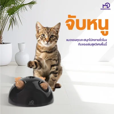 MOMOVIDA ของเล่นแมวอัจฉริยะ