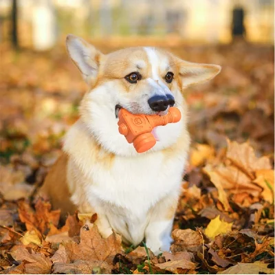 MOMOVIDA DT-13 ของเล่นสุนัขทรงค้อน เหมาะกับทุกสายพันธุ์