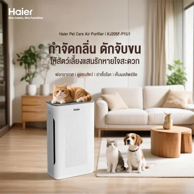 Haier เครื่องฟอกอากาศสัตว์เลี้ยง KJ205F-P1U1 | กำจัดกลิ่น