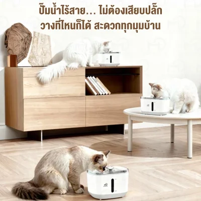 Momovida PTM-633 น้ำพุแมวอัจฉริยะ | แบต 5000mAh | เซนเซอร์