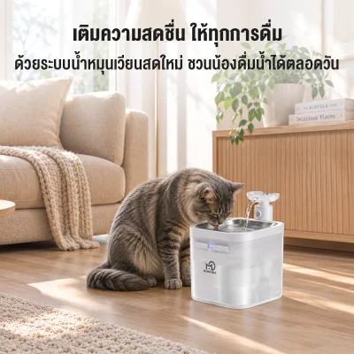 MOMOVIDA Fountain Filter ไส้กรองน้ำพุแมว แผ่นกรองน้ำพุแมว ฟิลเตอร์ กำจัดกลิ่น ขน และตะกอน