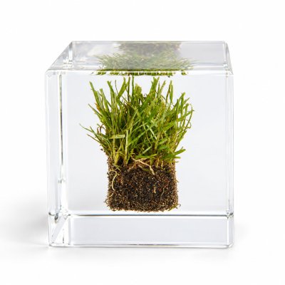 Manchester United 2026 Old Trafford Pitch Cube 7x7cm