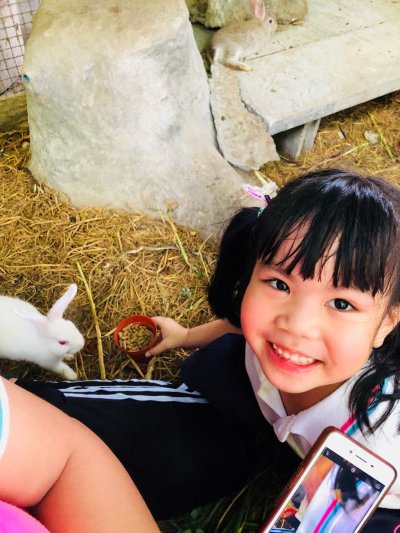 Mini Field Trip 2019