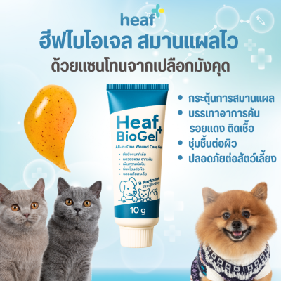 Heaf+BioGel ไบโอเจลสำหรับทางผิวหนังสัตว์เลี้ยง