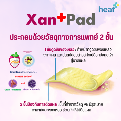 GermGuard แผ่นปิดแผล Xan+Pad รุ่น G3