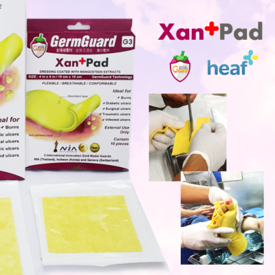 GermGuard แผ่นปิดแผล Xan+Pad รุ่น G3