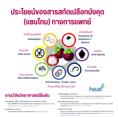 GermGuard หน้ากากอนามัยเคลือบสารสกัดเปลือกมังคุด รุ่น XanMask