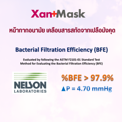GermGuard หน้ากากอนามัยเคลือบสารสกัดเปลือกมังคุด รุ่น XanMask