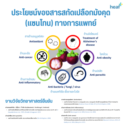 GermGuard แผ่นปิดแผลสำหรับสัตว์ Vet+Gauze รุ่น V3