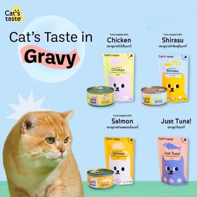 อาหารเปียกแมว แคทเทส Cat's Taste ขนาด 75 กรัม (เกรวี่)