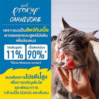 อาหารเปียกแมว Pramy Carnivore พรามี่ คาร์นิวอร์ ขนาด 70 g. (เกรวี่)