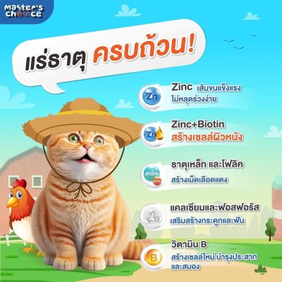 อาหารแมวชนิดเม็ด Master's Choice (มาสเตอร์ช้อยส์) ถุง 1 KG
