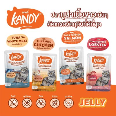 อาหารเปียกแมว Kandy สำหรับลูกแมว และแมวโต ขนาด 70 กรัม