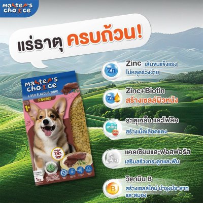 อาหารหมาชนิดเม็ด Master's Choice (มาสเตอร์ช้อยส์) ถุง 1 - 6 KG.