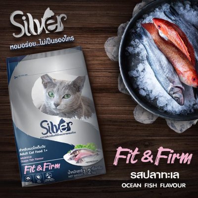 อาหารแมวชนิดเม็ด Silver (ซิลเวอร์) ถุง 1kg