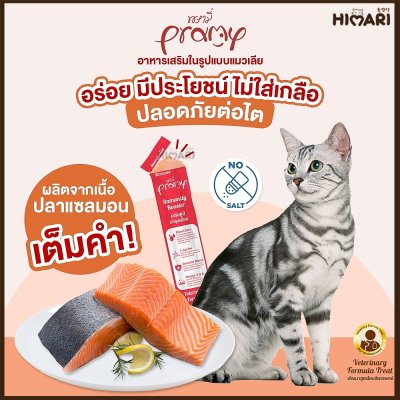 ขนมแมวเลีย พรามี่ Pramy ขนาด 14 กรัม