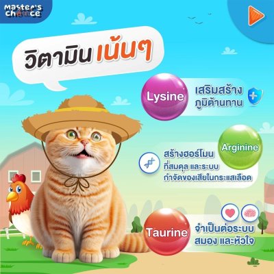 อาหารแมวชนิดเม็ด Master's Choice (มาสเตอร์ช้อยส์) ถุง 1 KG