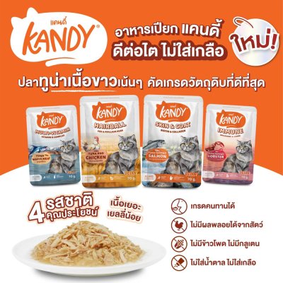 อาหารเปียกแมว Kandy สำหรับลูกแมว และแมวโต ขนาด 70 กรัม