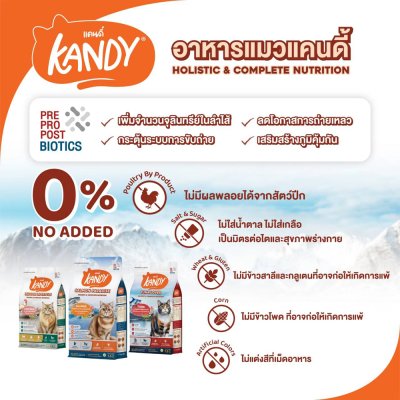 อาหารแมวโฮลิสติก Kandy แคนดี้ ขนาด 1.5 Kg